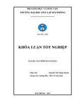 Một số giải pháp nhằm nâng cao hiệu quả hoạt động tín dụng tại chi nhánh ngân hàng nông nghiệp và phát triển nông thôn huyện thủy nguyên 