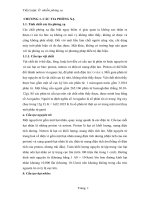 Tiểu luận ô nhiễm phóng xạ 