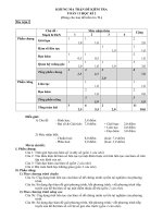 Tài liệu TST - Ma trận đề kiểm tra Toán 11 HK2 (tham khảo)