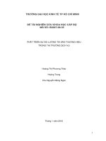 Phát triển đo lường tài sản thương hiêu trong thị trường dịch vụ 