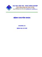 Tài liệu Bệnh hại ca phê docx