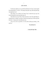 Mô phỏng dòng điện trong chất điện phân bằng công nghệ thực tại ảo luận văn thạc sĩ 