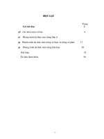 Phương trình đa thức trên các trường số 