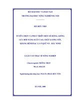 Tuyển chọn và phát triển một số dòng, giống lúa mù năng suất cao, chất lượng tốt, kháng bệnh bạc lá ở quế võ  bắc ninh 