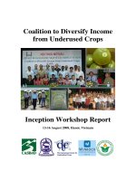 Tài liệu Inception Workshop Report pptx