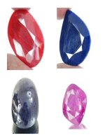 Gián án Bo st Đá