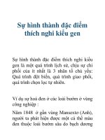 Tài liệu Sự hình thành đặc điểm thích nghi kiểu gen docx