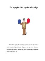 Tài liệu Đa nguyên hóa nguồn nhân lực docx
