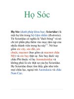 Tài liệu họ sóc pdf