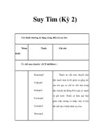 Tài liệu Suy Tim (Kỳ 2) doc