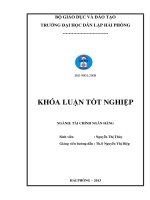 Một số giải pháp nhằm nâng cao hiệu quả hoạt động tín dụng tại ngân hàng TMCP sài gòn công thương chi nhánh hải phòng 