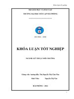 Luận văn tìm hiểu khả năng xử lý cu2+ trong nước bằng than củi 