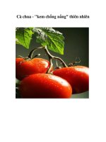Tài liệu Cà chua - 