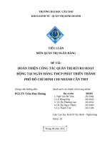 HOÀN THIỆN CÔNG tác QUẢN TRỊ rủi RO HOẠT ĐỘNG tại NGÂN HÀNG TMCP PHÁT TRIỂN THÀNH PHỐ hồ CHÍ MINH CHI NHÁNH cần THƠ 