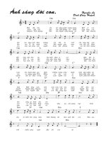 Ánh sáng đời con