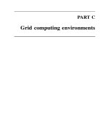 Tài liệu Grid Computing P20 ppt