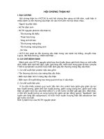 Tài liệu HỘI CHỨNG THẬN HƯ