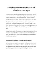 Tài liệu Giải pháp giúp doanh nghiệp thu hút vốn đầu tư nước ngoài ppt