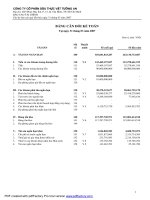 Tài liệu BẢNG CÂN ĐỐI KẾ TOÁN NĂM 2007 CỦA CÔNG TY CỔ PHẦN DÂÙ THỰC VẬT TƯỜNG AN pdf