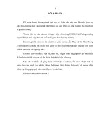 Kỹ thuật giấu tin dựa trên biến đổi contourlet 