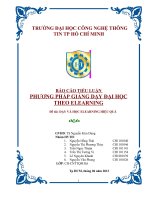 BÁO cáo TIỂU LUẬN PHƯƠNG PHÁP GIẢNG dạy đại học THEO ELEARNING đề tài dạy và học ELEARNING HIỆU QUẢ 