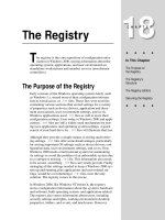 Tài liệu The Registry pdf