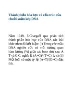 Tài liệu Thành phần hóa học và cấu trúc của chuỗi xoắn kép DNA pptx