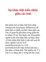 Tài liệu Sự khác biệt kiểu nhân giữa các loài pptx