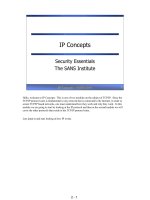 Tài liệu IP Concepts ppt