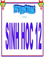 Tài liệu Bài 43 Trao đổi chất trong hệ sinh thái