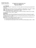 Gián án Đề Thi HK I Lớp 10 CB 2010 - 2011