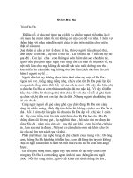 Tài liệu Truyện cổ tích Chim Đa Đa pdf