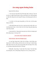Tài liệu Giáo trình An cung ngưu hoàng hoàn docx