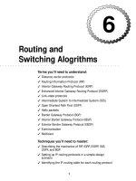 Tài liệu Routing and Switching Alogrithms pdf
