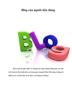 Tài liệu Blog của người tiêu dùng ppt