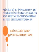 Slide phân tích rủi ro tín dụng cho vay đối với khách hàng cá nhân tại ngân hàng nông nghiệp và phát triển nông thôn hà tĩnh  chi nhánh huyện lộc hà 