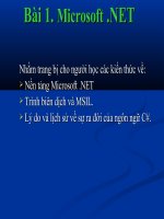 Tài liệu Bài 1: Microsoft .NET pdf