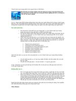 Tài liệu Thanh toán qua mạng dành cho người bán ở Việt Nam pptx