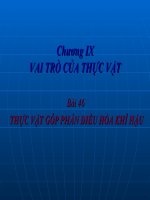 Bài giảng Bài 46: THỰC VẬT GÓP PHẦN ĐIỀU HOÀ KHÔNG KHÍ