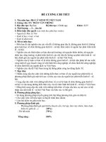 Tài liệu Đề cương chi tiết môn địa lý kinh tế Việt Nam doc