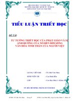 SỰ ẢNH HƯỞNG của tư TƯỞNG TRIẾT học của PHẬT GIÁO đến đời SỐNG văn hóa TINH THẦN của NGƯỜI VIỆT 