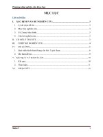 User’s perceptions and uses of financial reports of small and medium companies (SMCs) in transitional economies 