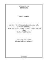 Nghiên cứu sự tăng trưởng của cua biển (scylla serrata) ở đầm nước lợ xã thạch kênh   thạch hà   hà tĩnh trong vụ đông 2005 