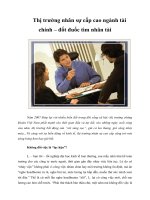 Tài liệu Thị trường nhân sự cấp cao ngành tài chính – đốt đuốc tìm nhân tài docx