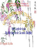 Bài soạn MRVT: Các nước- Dấu phẩy