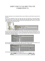 Tài liệu Ghép cảnh và tạo hiệu ứng với Combustion P5 docx