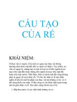 Tài liệu Cấu tạo của rễ doc