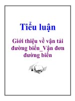 Tài liệu Tiểu luận: Giới thiệu về vận tải đường biển_Vận đơn đường biển pptx
