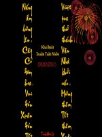 Tài liệu Khai bút xuân Tân Mão