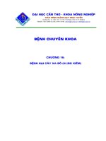 Tài liệu Bệnh hại cây xa bô( hồng xiêm docx